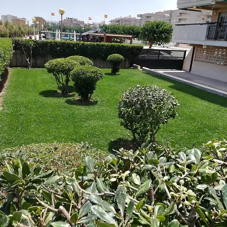 Gandia * Daimus